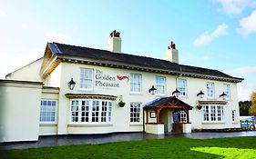 The Golden Pheasant